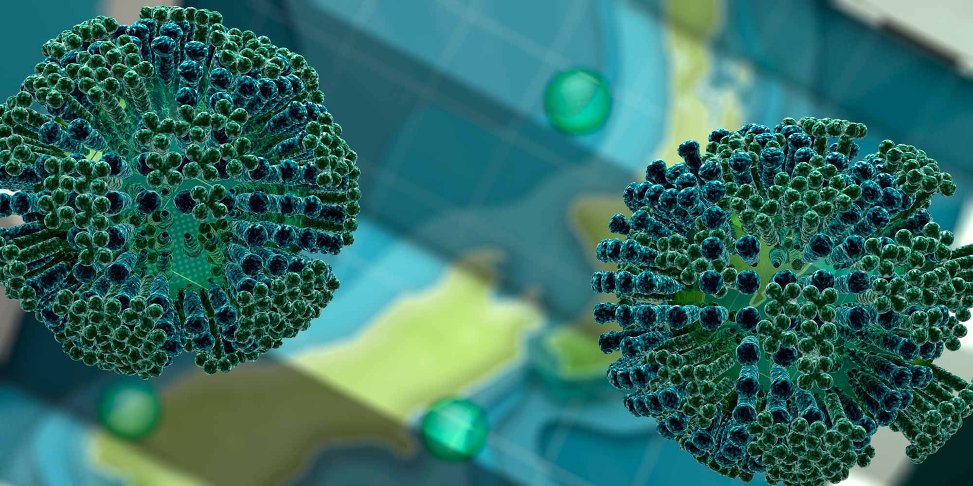 Stability of the Influenza Virus Hemagglutinin Protein 