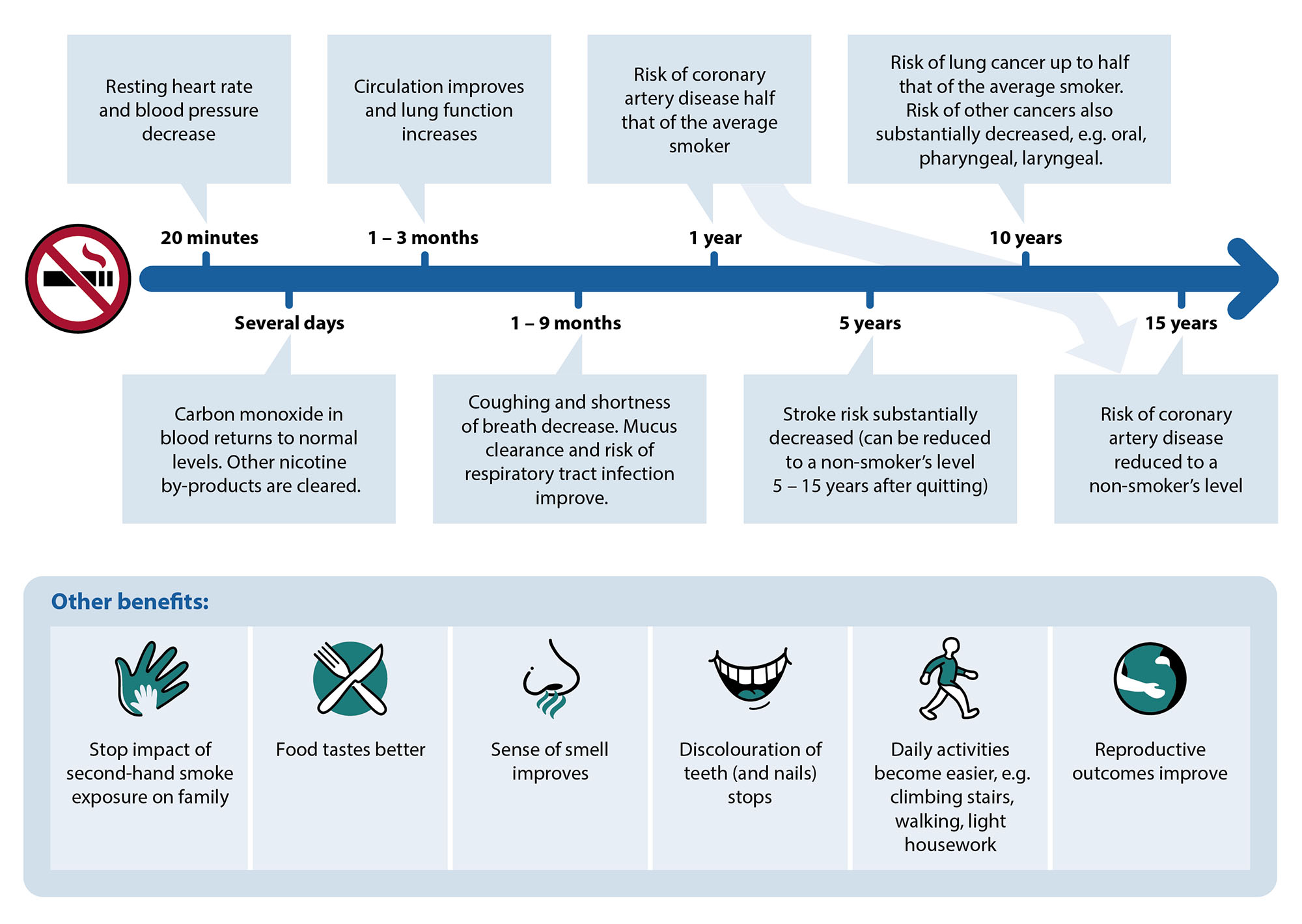  Figure 1. The health benefits of smoking cessation