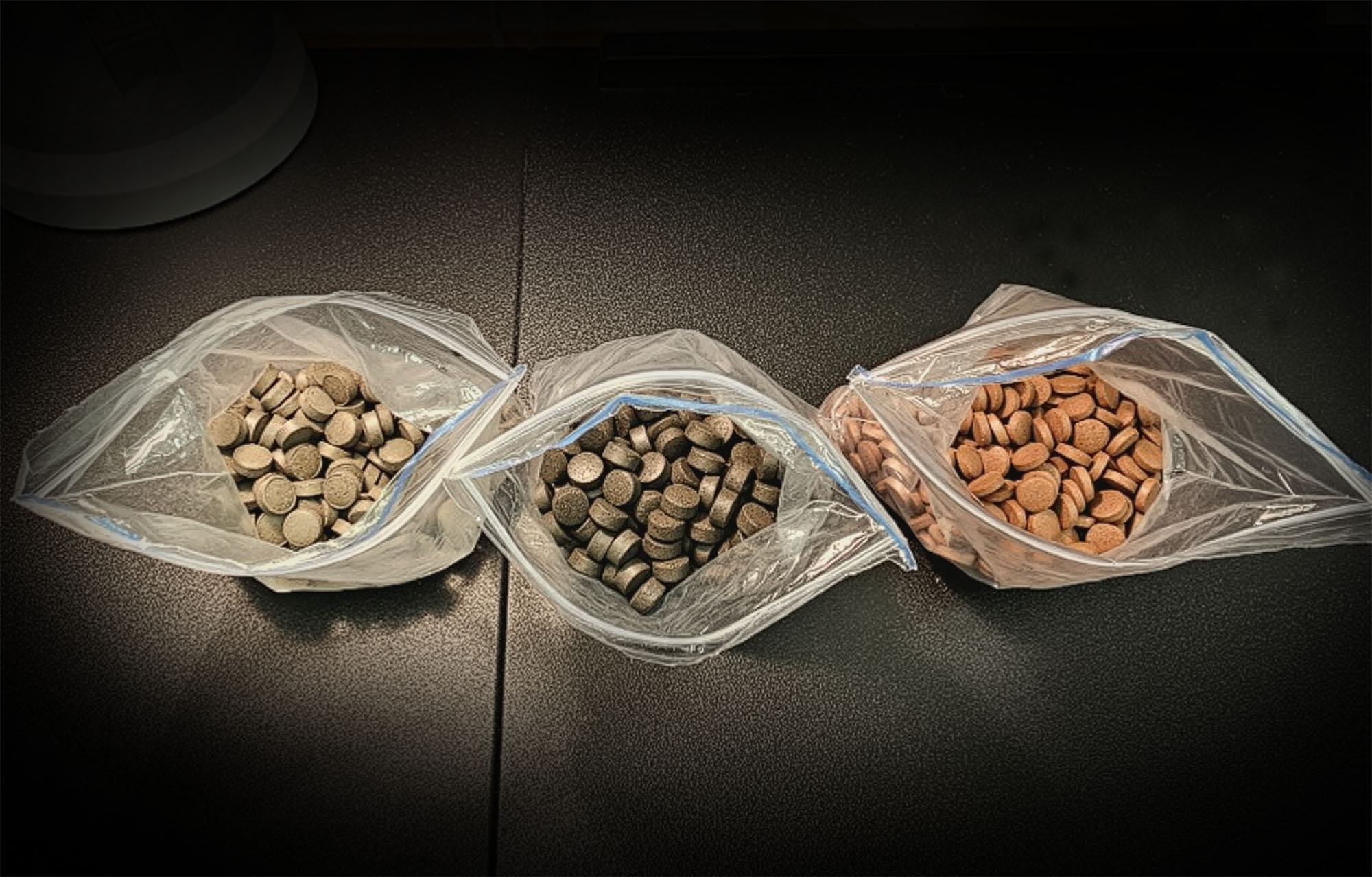 Samples of Ayurvedic medicines purchased in India and brought into New Zealand in personal luggage.