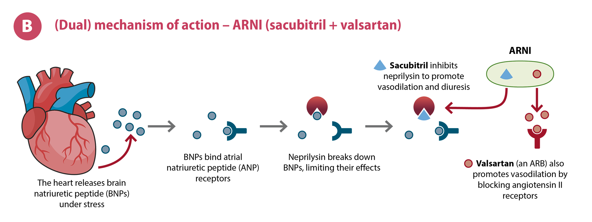 Figure 2B