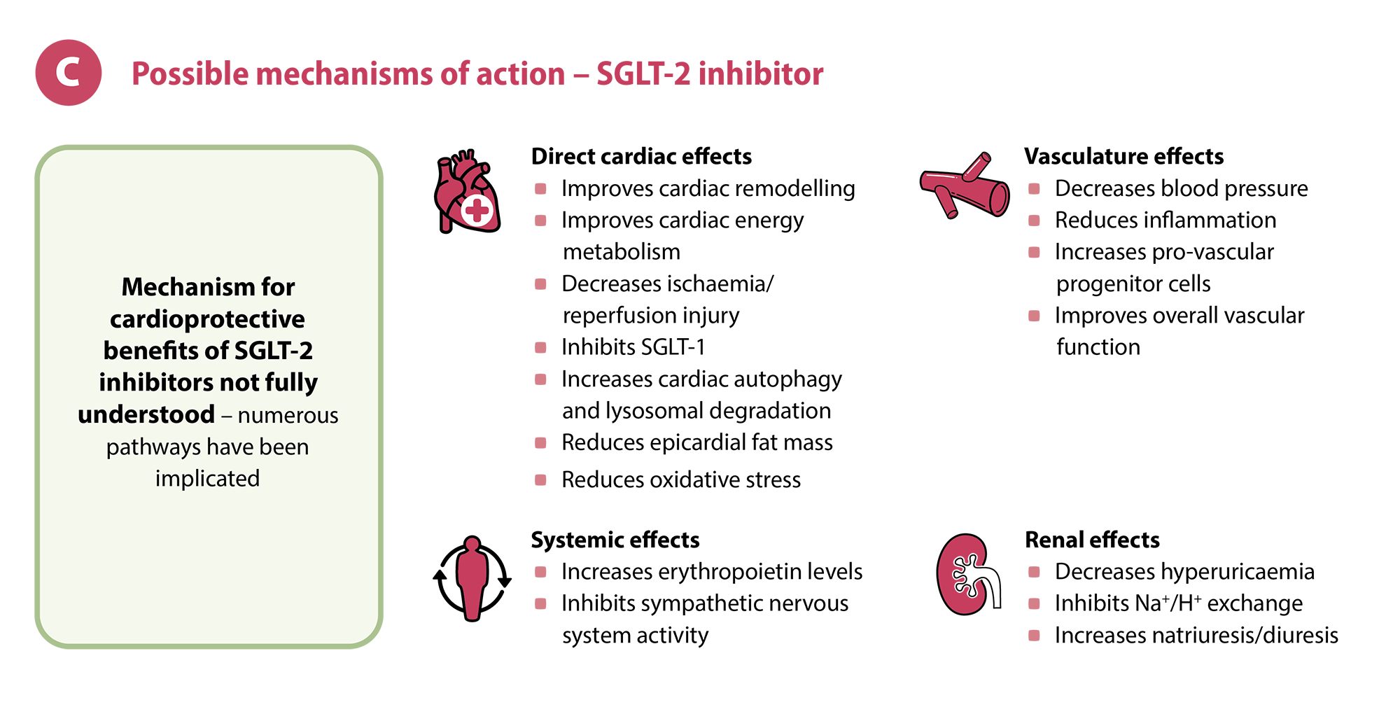 Figure 2C