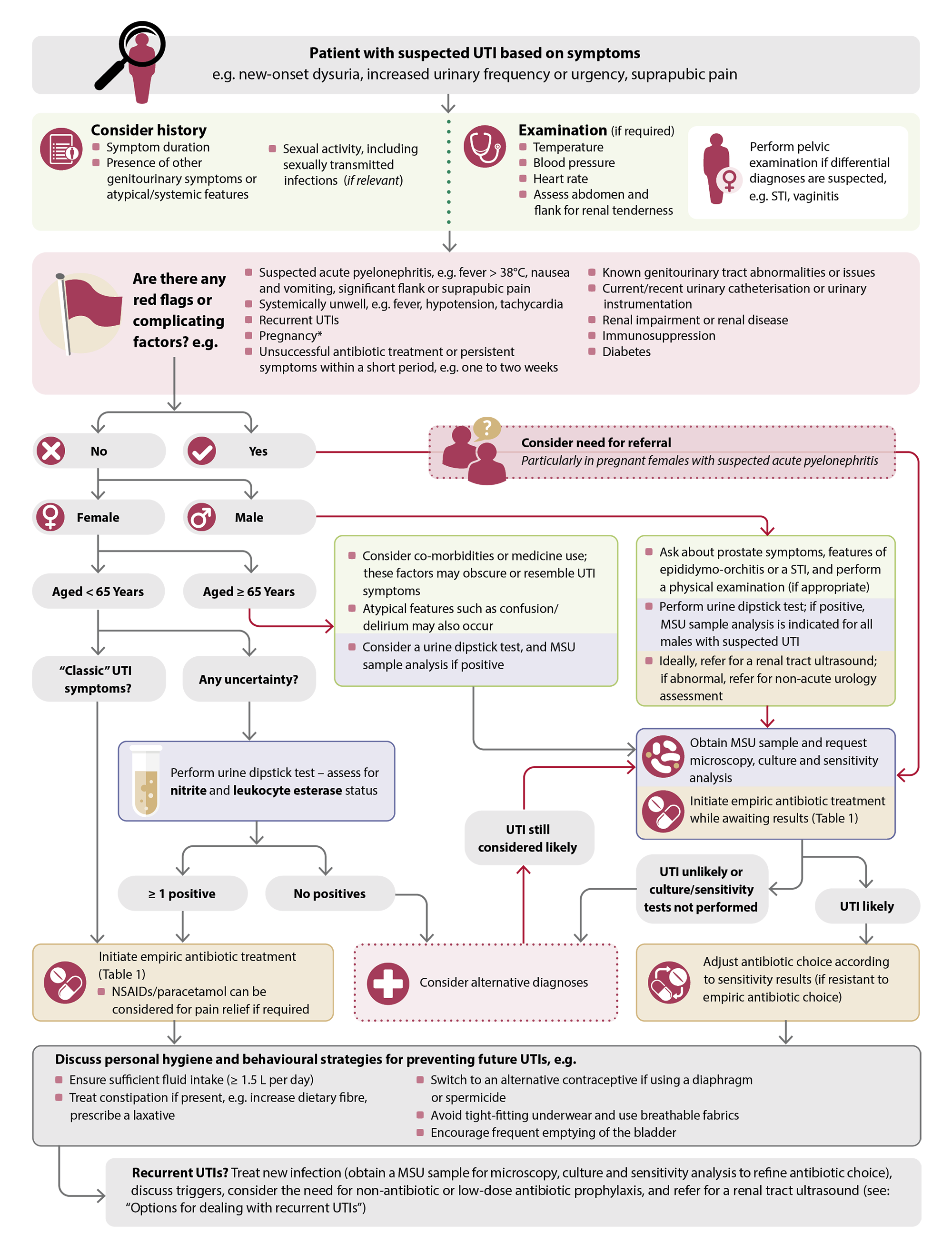 Flowchart: An overview of the diagnosis and management of symptomatic lower UTIs in adults