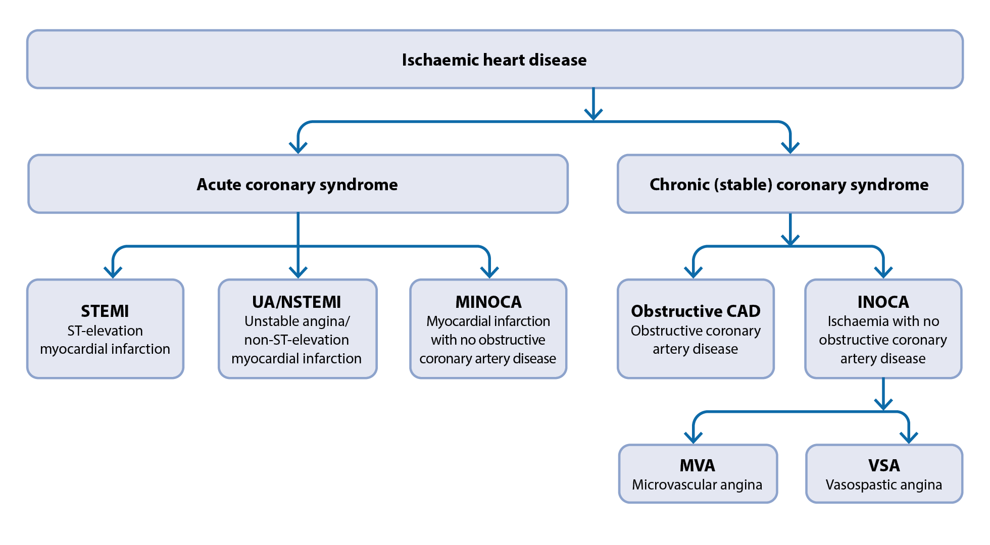 Figure 1. An overview of ischaemic heart disease