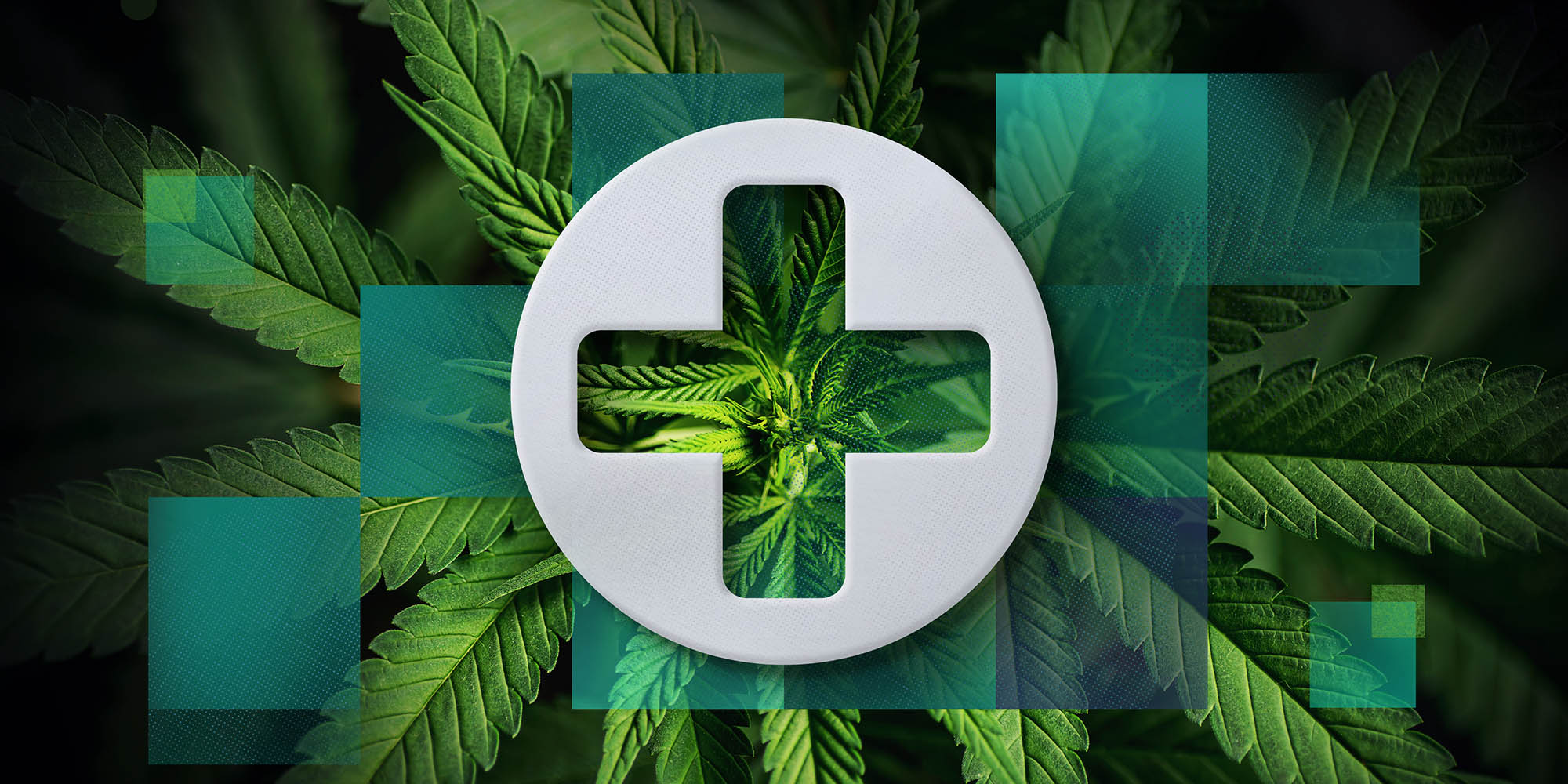 Upfront: The medicinal use of cannabis, today