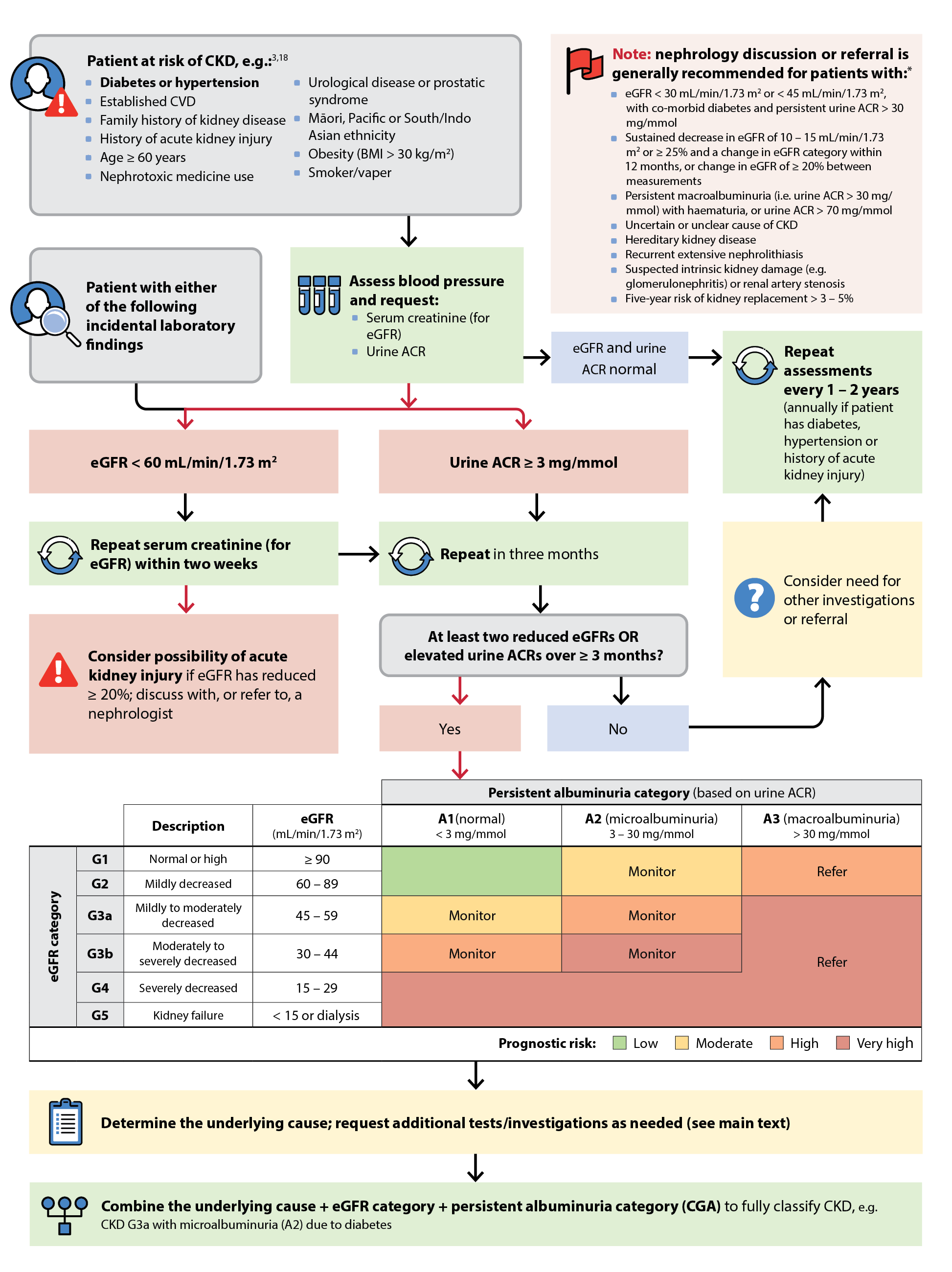 Algorithm for the detection and classification of patients with CKD
