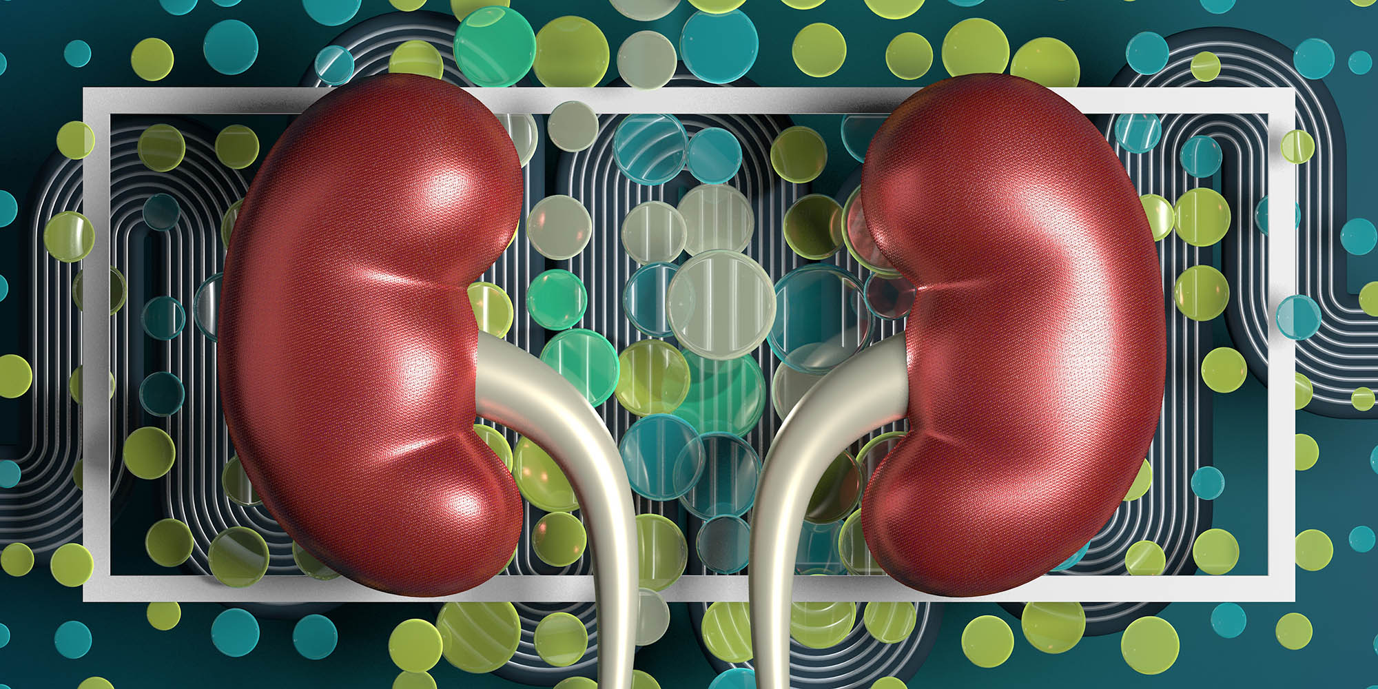 Chronic kidney disease: the canary in the coal mine