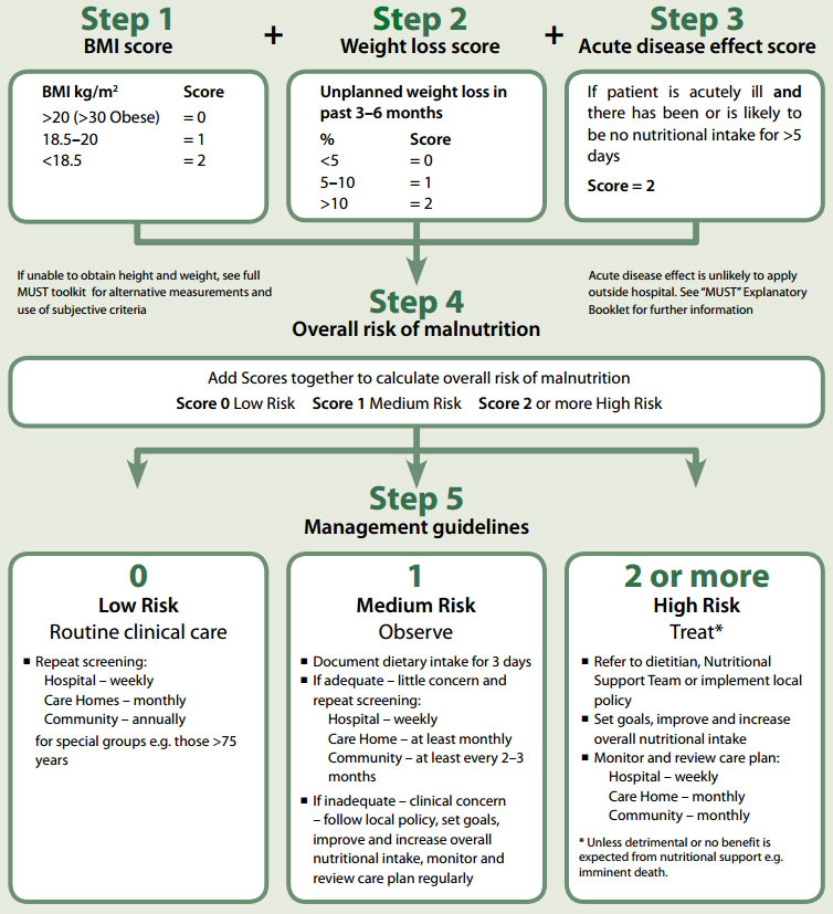 Geriatric Diet Chart