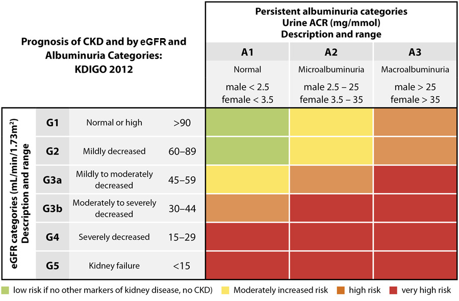 The detection and management of patients with chronic ...