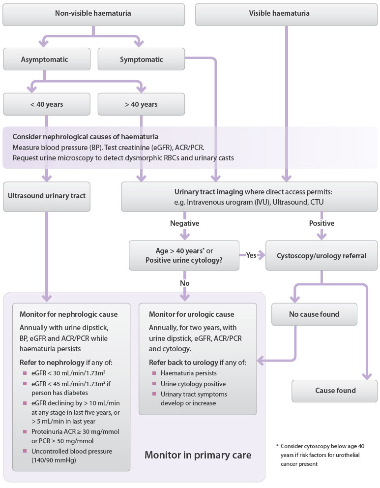 Interpreting Urine Dipstick Tests In Adults Best Tests Issue 19