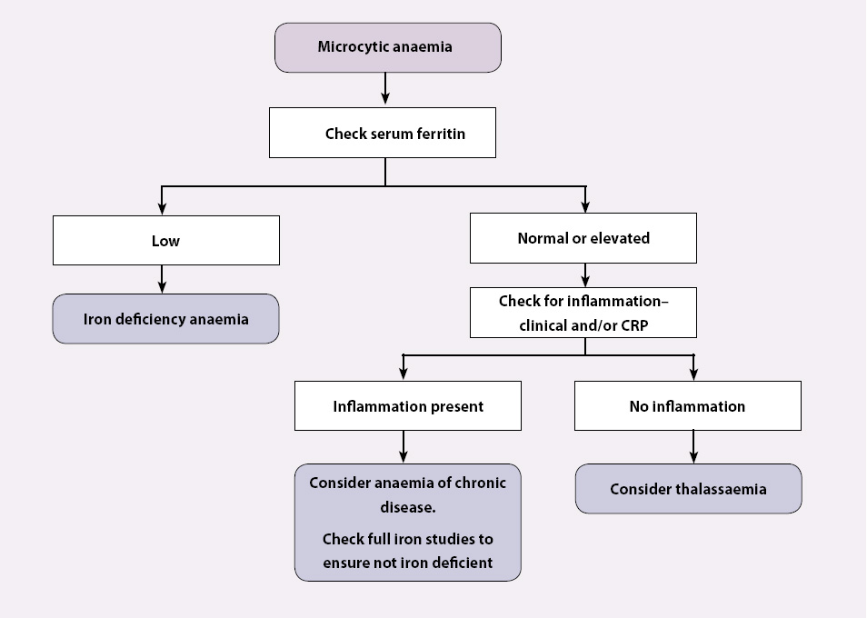 Monocytes Levels Chart