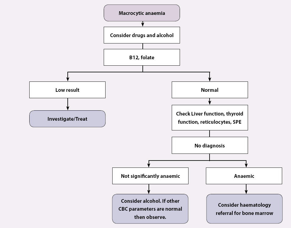 Cbc Interpretation Chart