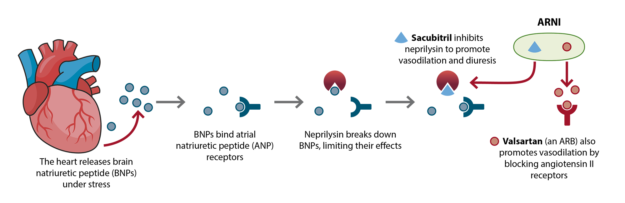 Figure 2B